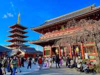 Sensoji Temple