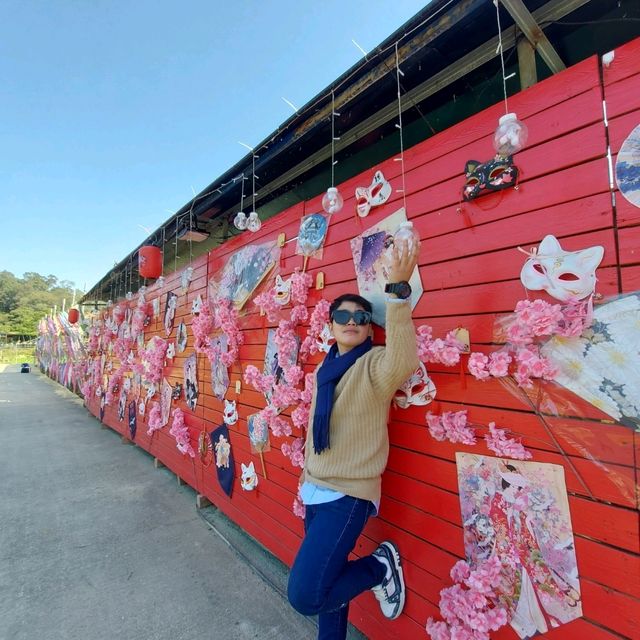 Live Life in Full Bloom 🌺❤️