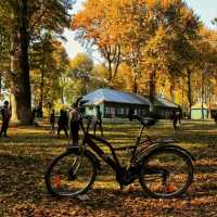 Chinar Heritage Park 