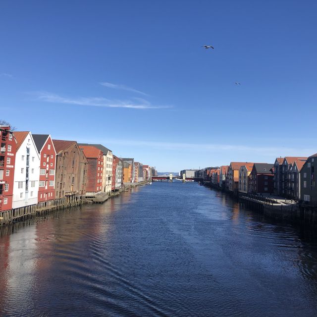 Hei hei Trondheim