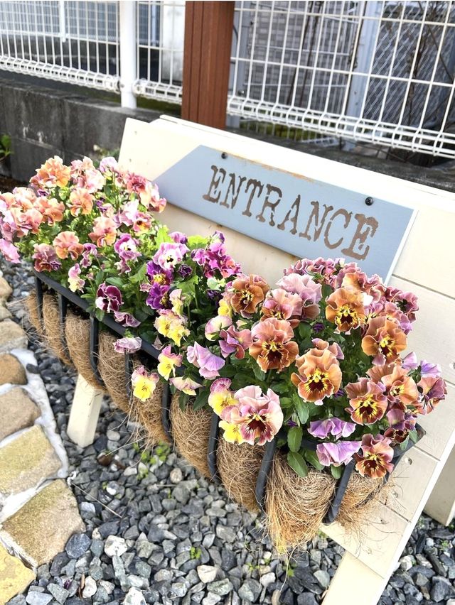 【福岡カフェ】工場をリノベーションしたとは思えない！アンティークカフェ❁⃘*.ﾟ