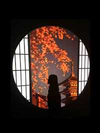 【東京(銀座)】3月1日から「めっちゃ桜2024」が開催🌸金魚と桜に囲まれる、春に行きたいスポット