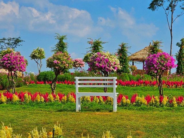 สวนดอกไม้  จ.กระบี่