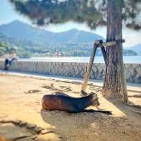 厳島神社以外にもいろいろある宮島