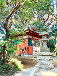 【鹿島神宮北の一之鳥居と戸隠神社/茨城県】神戸森に佇む朱塗りの鳥居