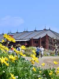 【横浜赤レンガ倉庫】お花見ピクニック💐🍴地元民に愛されるテイクアウト店もご紹介🥤