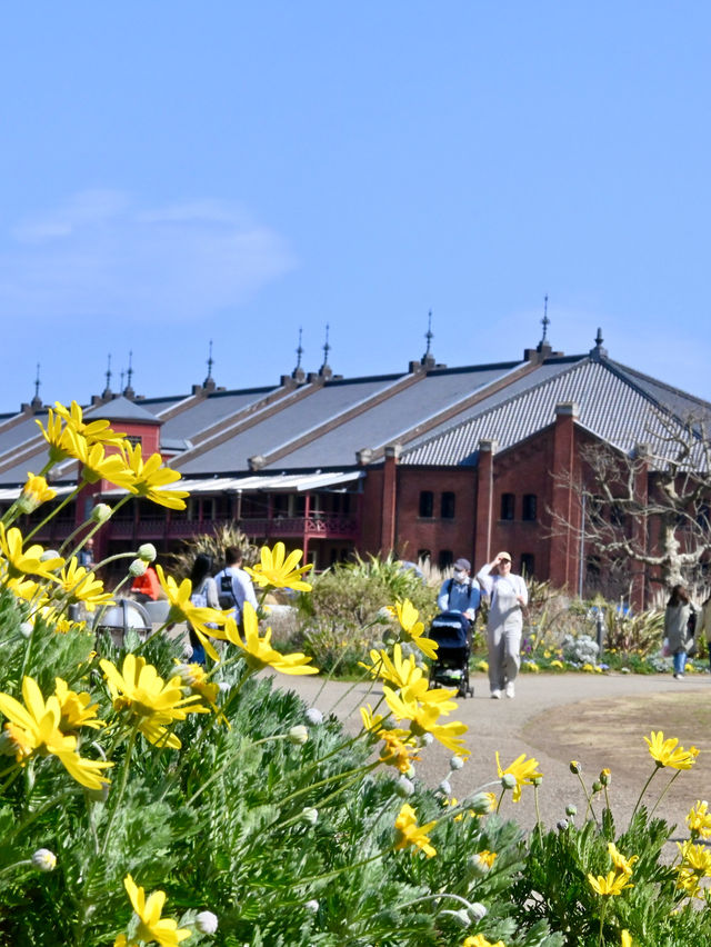 【横浜赤レンガ倉庫】お花見ピクニック💐🍴地元民に愛されるテイクアウト店もご紹介🥤