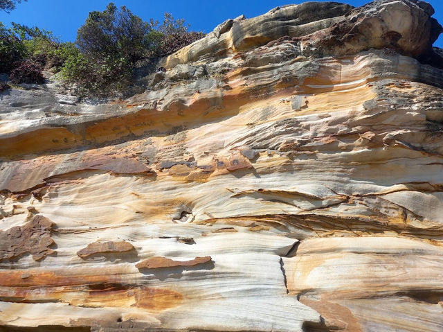 Coogee Beach