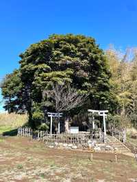 【武石神社/千葉県】千葉開府の武石三郎胤盛及び武石家ゆかりの神社