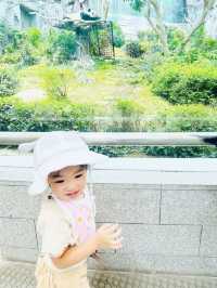 免費親子活動❣️睇熊貓🐼