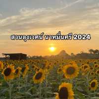 สวนลุงเวศน์ นาหมื่นศรี 2024🌻💐