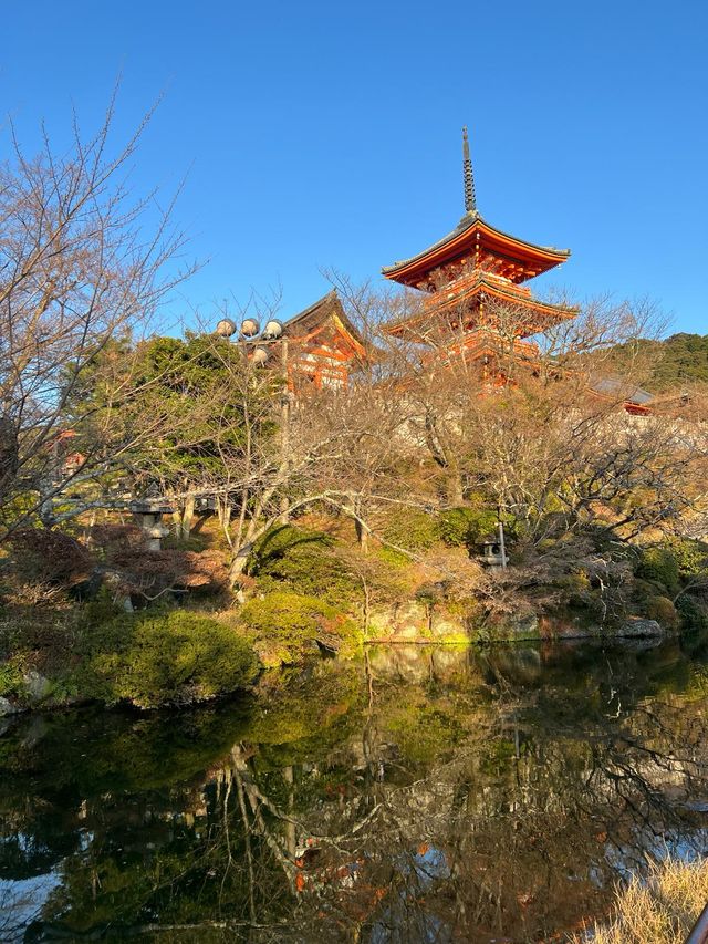 永遠人來人往的清水寺