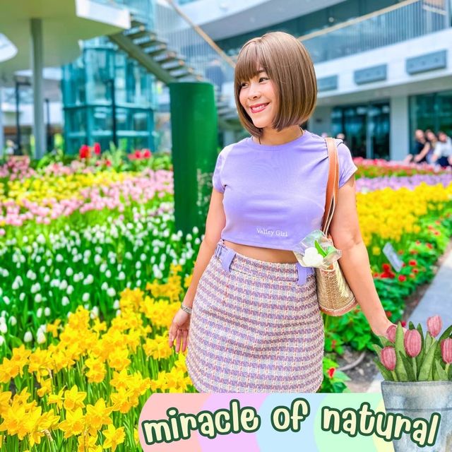 หนีร้อนมาพึ่งเย็น ที่ Miracle of nutural