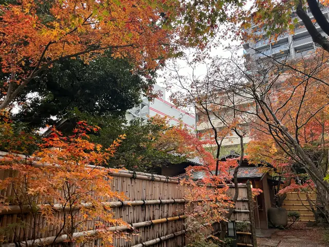 博多のオアシス　紅葉は楽水園🍁