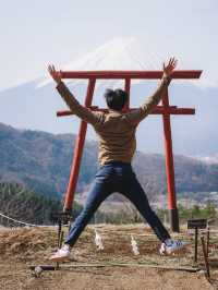 🇯🇵 河口湖 河口淺間神社：富士山背景下的天空鳥居，自駕遊或的士上山最方便🗻