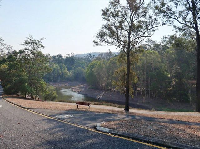 Hike up Mount Coot-Tha