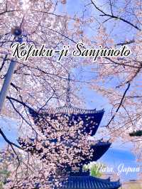 Kofuku-ji Sanjunoto เจดีย์ 3 ชั้นมรดกชาติ จ.นารา