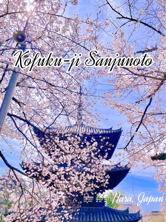 Kofuku-ji Sanjunoto เจดีย์ 3 ชั้นมรดกชาติ จ.นารา