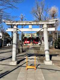 【本多八幡神社/東京都】朱塗りのコンクリート社殿と夫婦木