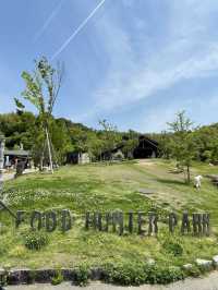 【和歌山県】無料で楽しめる緑豊かな「道の駅　四季の郷公園」