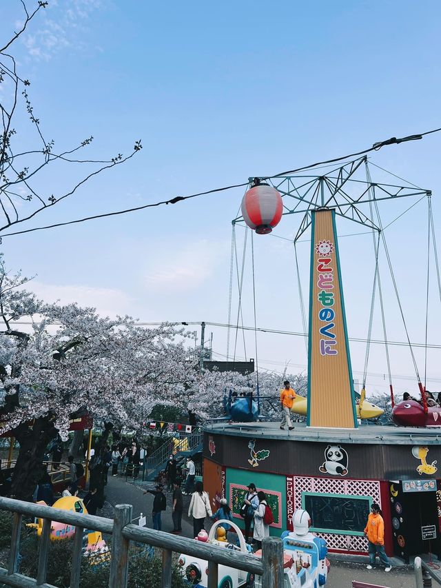 函館櫻花景點