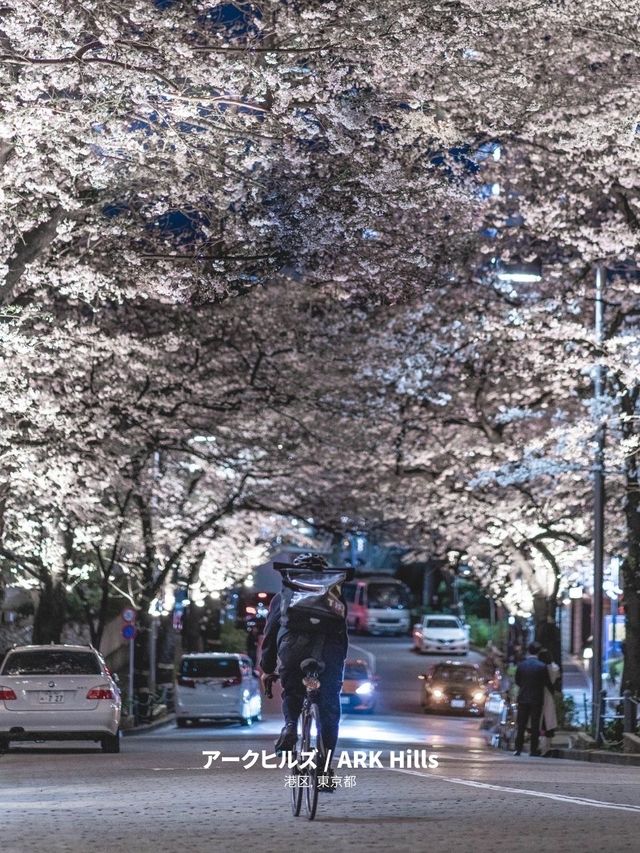 【雑誌風】東京周辺の桜撮影スポット７選！FOCUS Vol.002