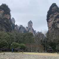 只能用壯麗來形容的「🌳張家界國家森林公園」🌳