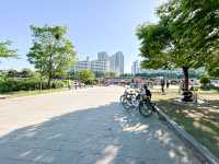 汝矣島漢江公園(여의도한강공원) - 首爾