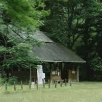 「山形十五軒公園：浪漫櫻花林，市民遺產」