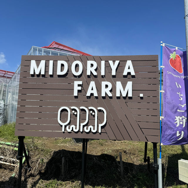 【神奈川】生クリーム無料！最大10品種✨いちご食べ比べ