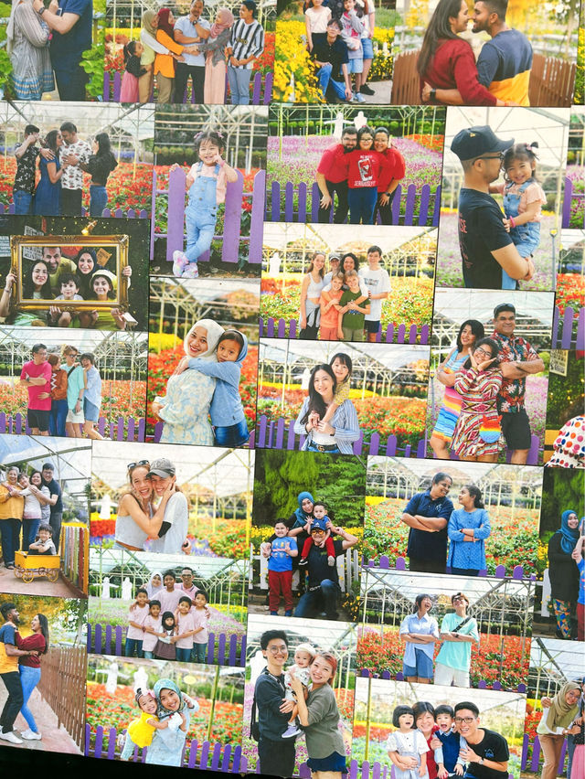 Picking Sweet Memories at the Strawberry Farm, Genting Highlands