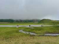 【熊本】大自然に癒される阿蘇の旅