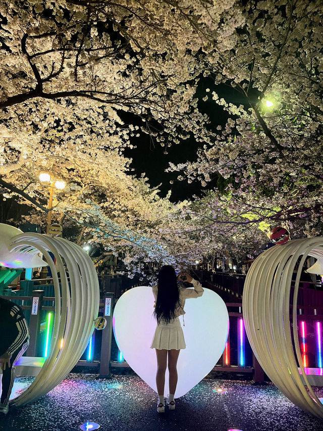 야간도 너무 예쁜 진해 군항제💗