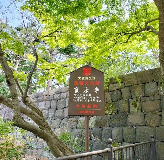 夏旅は東京へ行こう💠東京上野でお寺巡り『寛永寺』
