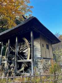 Japan Open-Air Folk House Museum