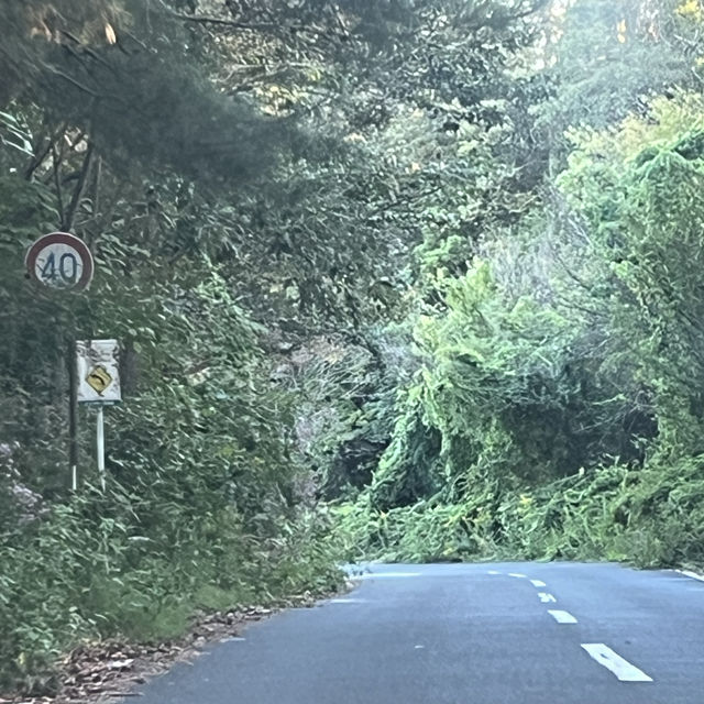 県北ジオパーク