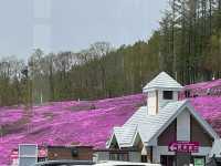 北海道賞花