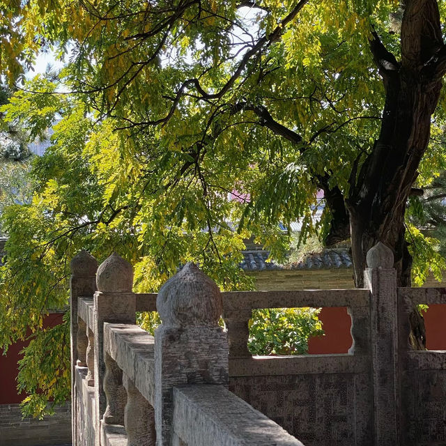 富田國王宮：古典宮殿，台灣歷史文化的絕佳去處