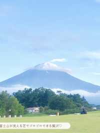【 山梨 / 河口湖 】湖畔にある公園であじさいとラベンダーと富士山が楽しめる🪻🗻