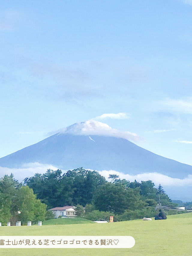 【 山梨 / 河口湖 】湖畔にある公園であじさいとラベンダーと富士山が楽しめる🪻🗻