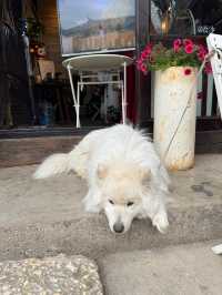 🇨🇳 Visiting 白沙古镇 (Baisha Ancient Town), Lijiang