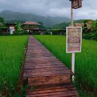 ⛺️ สะปัน คีรี แคมป์ โฮมสเตย์กลางธรรมชาติ