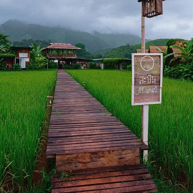 ⛺️ สะปัน คีรี แคมป์ โฮมสเตย์กลางธรรมชาติ