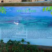 이국적인 풍경의 산책하기 좋은 제주 명소 - 용눈이 오름
