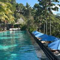 Ubud 大自然に溶け込んだ楽園ホテル🌳
