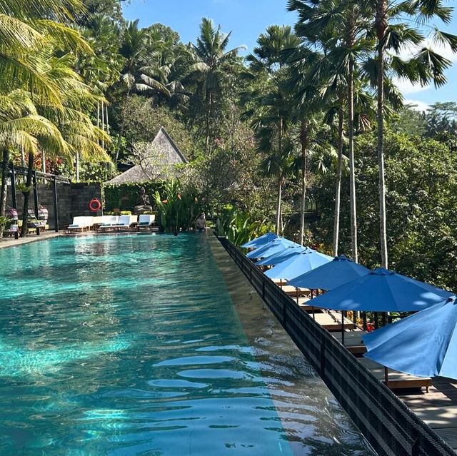 Ubud 大自然に溶け込んだ楽園ホテル🌳
