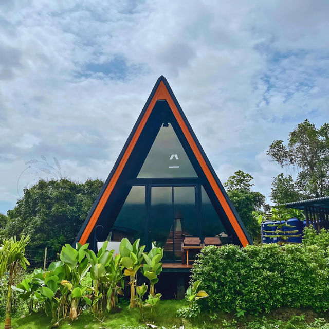 🏕️ฤดูภูเขา เชียงดาว