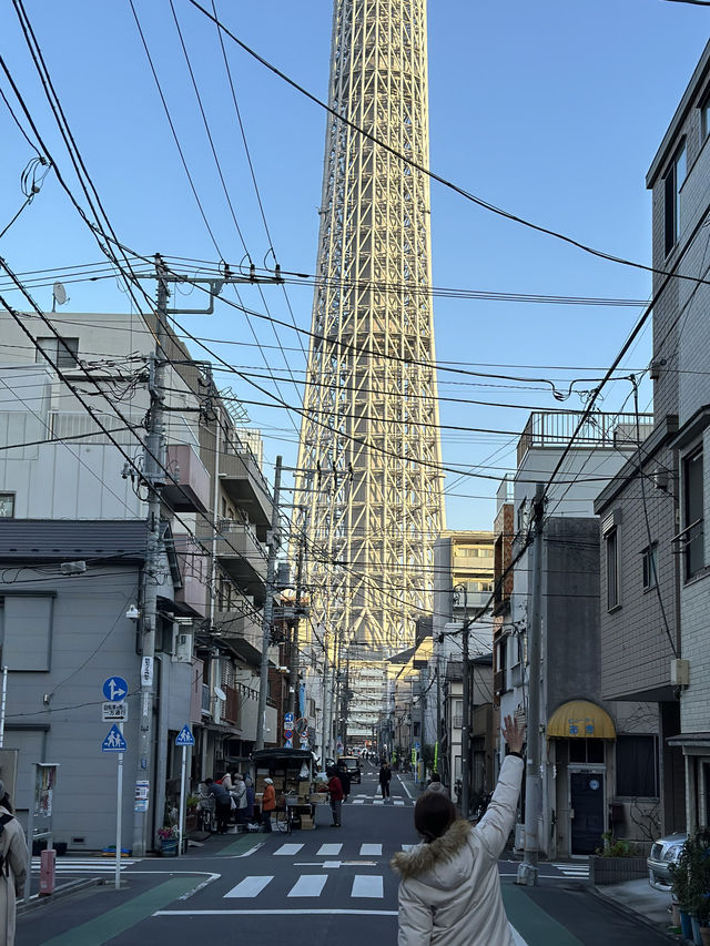 【淺草寺晴空塔】日本最高建築🇯🇵熱門旅遊景點