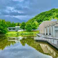 Art and Nature in Harmony