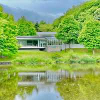 Art and Nature in Harmony
